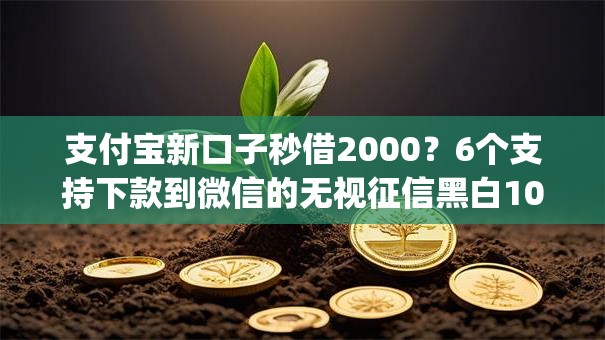 支付宝新口子秒借2000?6个支持下款到微信的无视征信黑白100%秒下app 支付宝新口子秒借2000?6个支持下款到微信的无视征信黑白100%秒下app
