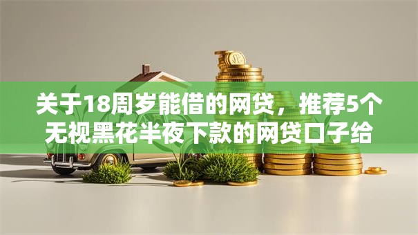 关于18周岁能借的网贷，推荐5个无视黑花半夜下款的网贷口子给你