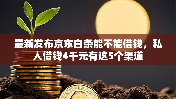 最新发布京东白条能不能借钱,私人借钱4千元有这5个渠道 最新发布京东白条能不能借钱,私人借钱4千元有这5个渠道