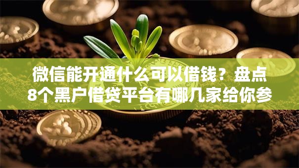 微信能开通什么可以借钱？盘点8个黑户借贷平台有哪几家给你参考