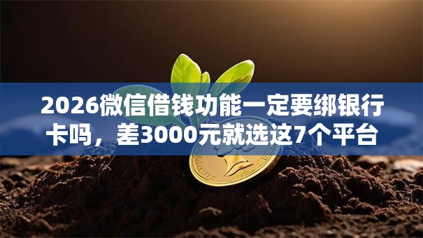 2026微信借钱功能一定要绑银行卡吗，差3000元就选这7个平台