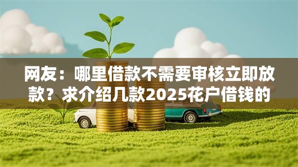 网友：哪里借款不需要审核立即放款？求介绍几款2025花户借钱的平台100%能借到