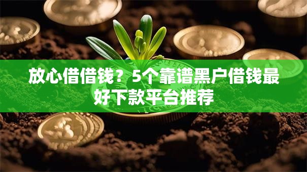放心借借钱？5个靠谱黑户借钱最好下款平台推荐
