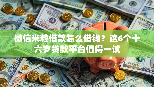 微信米粒借款怎么借钱？这6个十六岁贷款平台值得一试