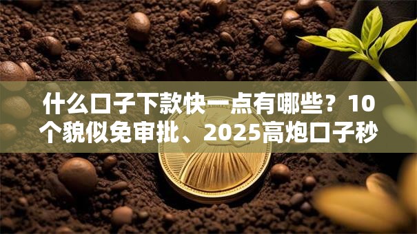 什么口子下款快一点有哪些？10个貌似免审批、2025高炮口子秒下款免审核合集