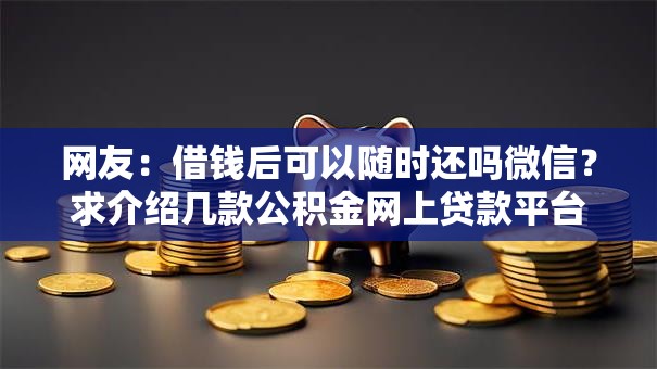 网友：借钱后可以随时还吗微信？求介绍几款公积金网上贷款平台