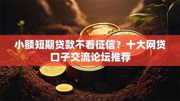 小额短期贷款不看征信？十大网贷口子交流论坛推荐