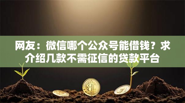 网友：微信哪个公众号能借钱？求介绍几款不需征信的贷款平台