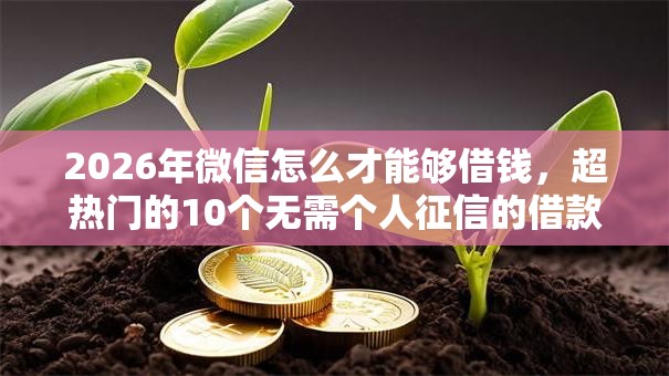 2026年微信怎么才能够借钱，超热门的10个无需个人征信的借款平台推荐