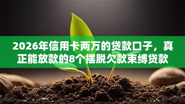 2026年信用卡两万的贷款口子，真正能放款的8个摆脱欠款束缚贷款新软件推荐