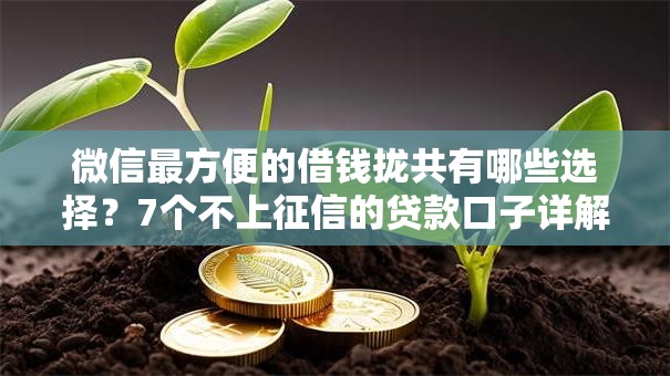 微信最方便的借钱拢共有哪些选择？7个不上征信的贷款口子详解