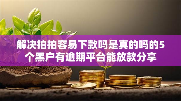 解决拍拍容易下款吗是真的吗的5个黑户有逾期平台能放款分享 解决拍拍容易下款吗是真的吗的5个黑户有逾期平台能放款分享