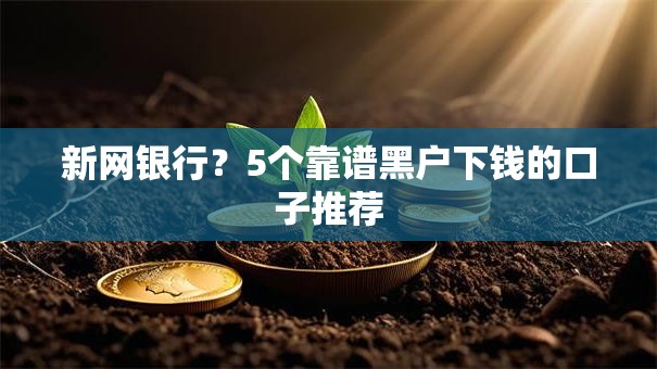 新网银行？5个靠谱黑户下钱的口子推荐