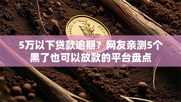 5万以下贷款逾期？网友亲测5个黑了也可以放款的平台盘点