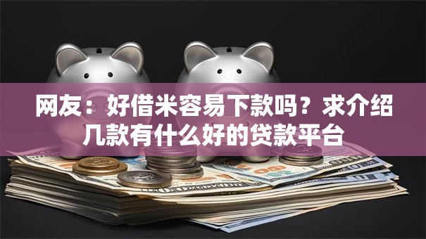 网友：好借米容易下款吗？求介绍几款有什么好的贷款平台
