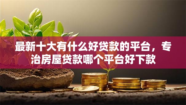 最新十大有什么好贷款的平台，专治房屋贷款哪个平台好下款