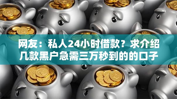 网友：私人24小时借款？求介绍几款黑户急需三万秒到的的口子
