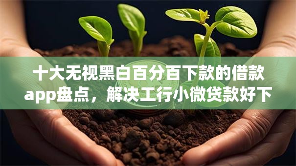 十大无视黑白百分百下款的借款app盘点，解决工行小微贷款好下款吗的问题