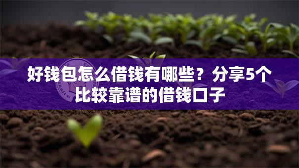 好钱包怎么借钱有哪些？分享5个比较靠谱的借钱口子