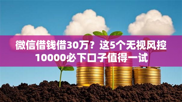 微信借钱借30万？这5个无视风控10000必下口子值得一试