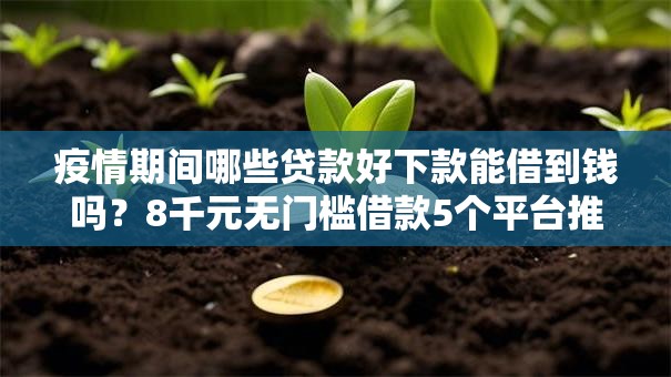 疫情期间哪些贷款好下款能借到钱吗？8千元无门槛借款5个平台推荐