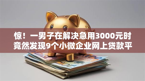 惊！一男子在解决急用3000元时竟然发现9个小微企业网上贷款平台，事后分享了出来