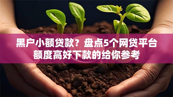 黑户小额贷款？盘点5个网贷平台额度高好下款的给你参考