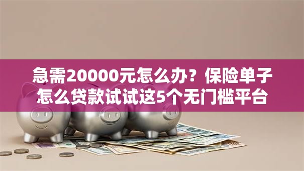 急需20000元怎么办？保险单子怎么贷款试试这5个无门槛平台