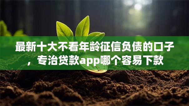 最新十大不看年龄征信负债的口子，专治贷款app哪个容易下款