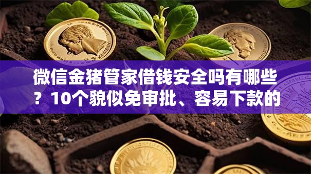 微信金猪管家借钱安全吗有哪些？10个貌似免审批、容易下款的借款平台2025合集