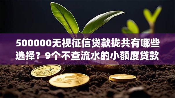 500000无视征信贷款拢共有哪些选择?9个不查流水的小额度贷款app详解 500000无视征信贷款拢共有哪些选择?9个不查流水的小额度贷款app详解