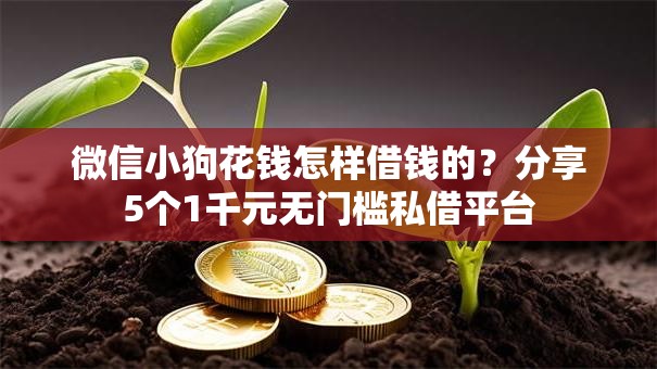 微信小狗花钱怎样借钱的？分享5个1千元无门槛私借平台