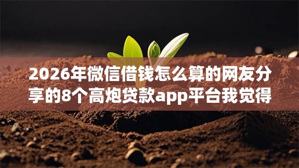 2026年微信借钱怎么算的网友分享的8个高炮贷款app平台我觉得不错！