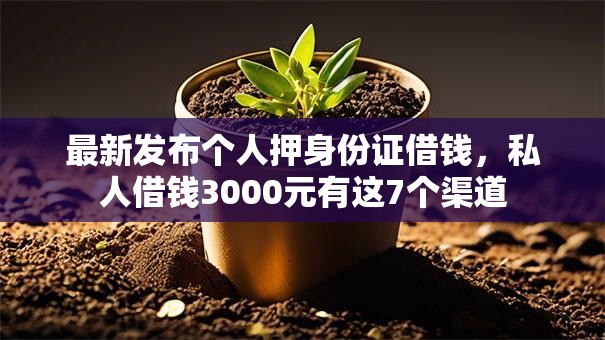 最新发布个人押身份证借钱，私人借钱3000元有这7个渠道