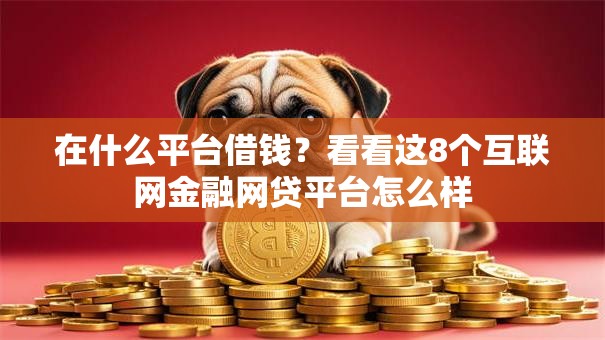 在什么平台借钱？看看这8个互联网金融网贷平台怎么样