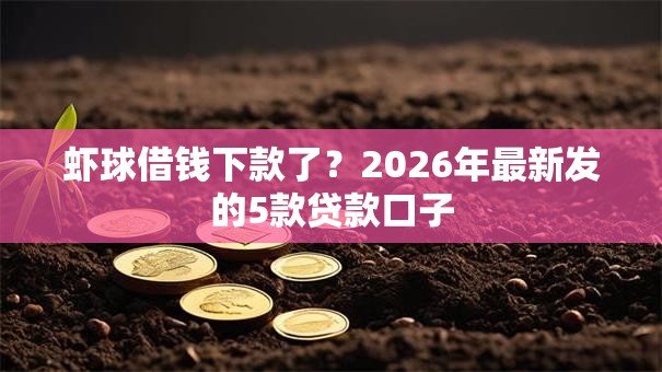 虾球借钱下款了？2026年最新发的5款贷款口子