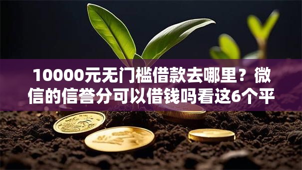 10000元无门槛借款去哪里?微信的信誉分可以借钱吗看这6个平台 10000元无门槛借款去哪里?微信的信誉分可以借钱吗看这6个平台