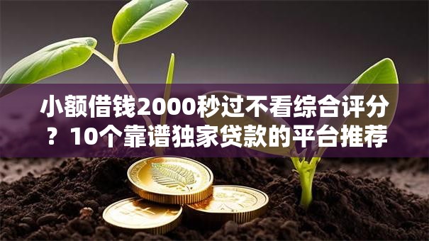 小额借钱2000秒过不看综合评分?10个靠谱独家贷款的平台推荐 小额借钱2000秒过不看综合评分?10个靠谱独家贷款的平台推荐