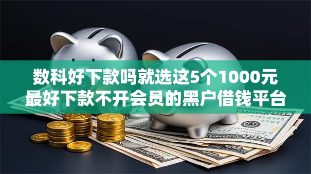 数科好下款吗就选这5个1000元最好下款不开会员的黑户借钱平台
