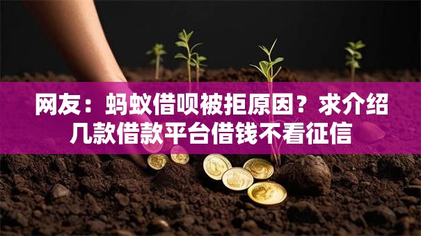 网友:蚂蚁借呗被拒原因?求介绍几款借款平台借钱不看征信 网友:蚂蚁借呗被拒原因?求介绍几款借款平台借钱不看征信