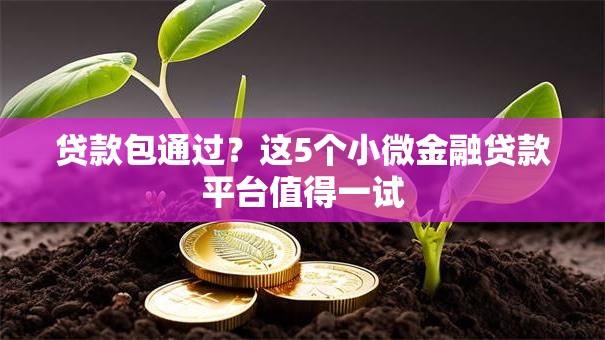贷款包通过？这5个小微金融贷款平台值得一试