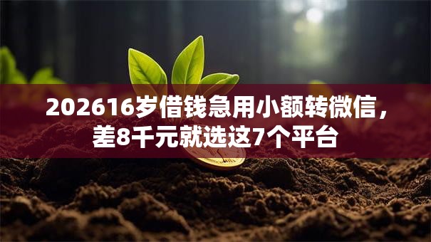 202616岁借钱急用小额转微信,差8千元就选这7个平台 202616岁借钱急用小额转微信,差8千元就选这7个平台