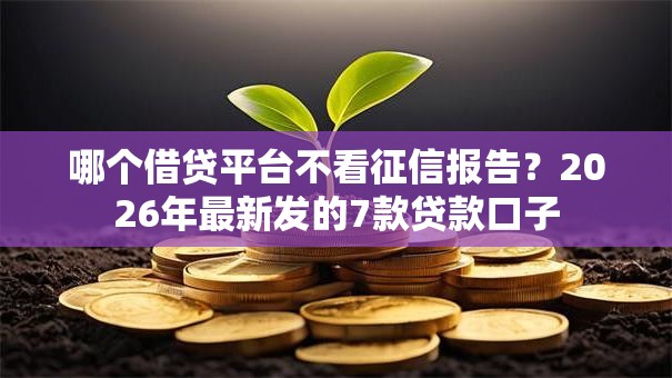 哪个借贷平台不看征信报告？2026年最新发的7款贷款口子
