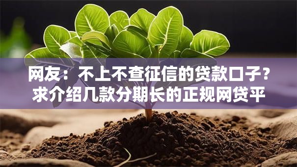网友:不上不查征信的贷款口子?求介绍几款分期长的正规网贷平台 网友:不上不查征信的贷款口子?求介绍几款分期长的正规网贷平台