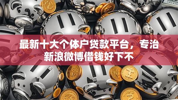 最新十大个体户贷款平台，专治新浪微博借钱好下不