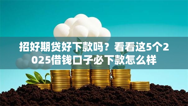 招好期贷好下款吗？看看这5个2025借钱口子必下款怎么样