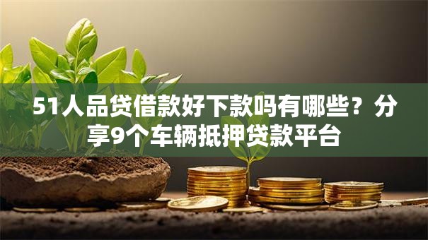 51人品贷借款好下款吗有哪些?分享9个车辆抵押贷款平台 51人品贷借款好下款吗有哪些?分享9个车辆抵押贷款平台