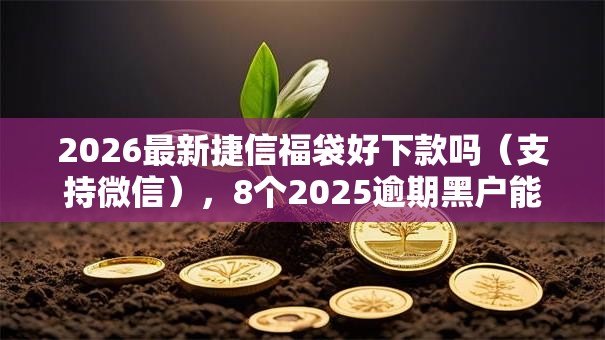 2026最新捷信福袋好下款吗(支持微信),8个2025逾期黑户能下款的口子无私分享 2026最新捷信福袋好下款吗(支持微信),8个2025逾期黑户能下款的口子无私分享