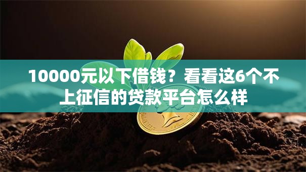 10000元以下借钱？看看这6个不上征信的贷款平台怎么样