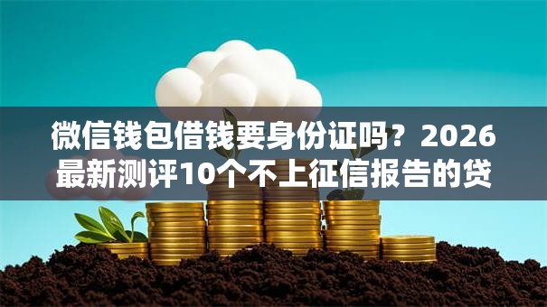 微信钱包借钱要身份证吗?2026最新测评10个不上征信报告的贷款平台 微信钱包借钱要身份证吗?2026最新测评10个不上征信报告的贷款平台
